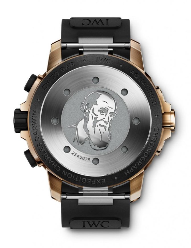 IWC IW379503 Aquatimer Chronograph Charles Darvin Edition - фото 2